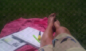Studying in the sunshine